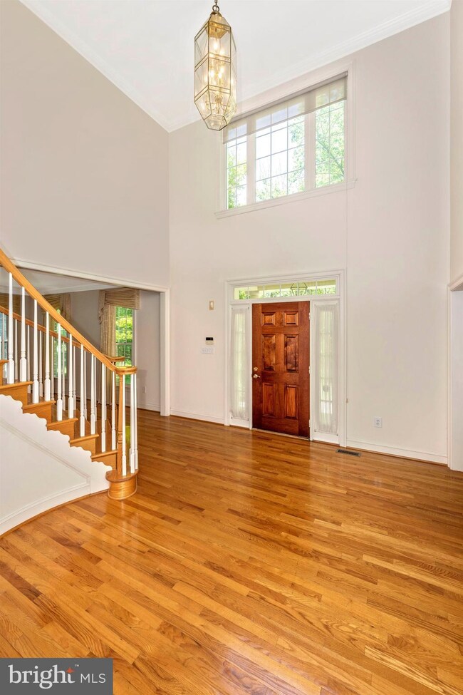 12210 Falls Rd, Potomac, MD 20854 - photo 4