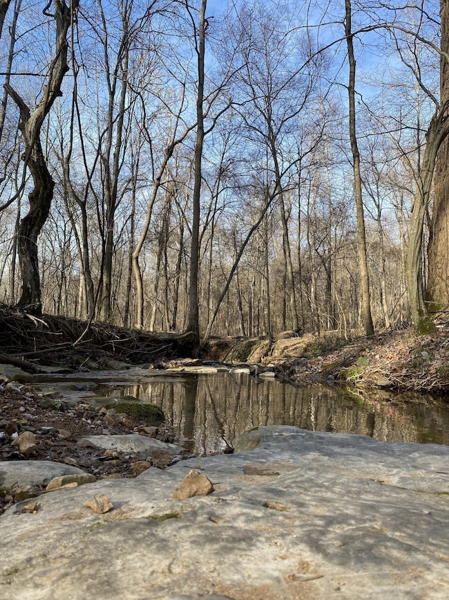 4434 Memory Ln, Adams, TN 37010 - photo 3