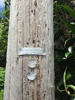 37 E Ohea St, Hilo, HI 96720 - photo 3