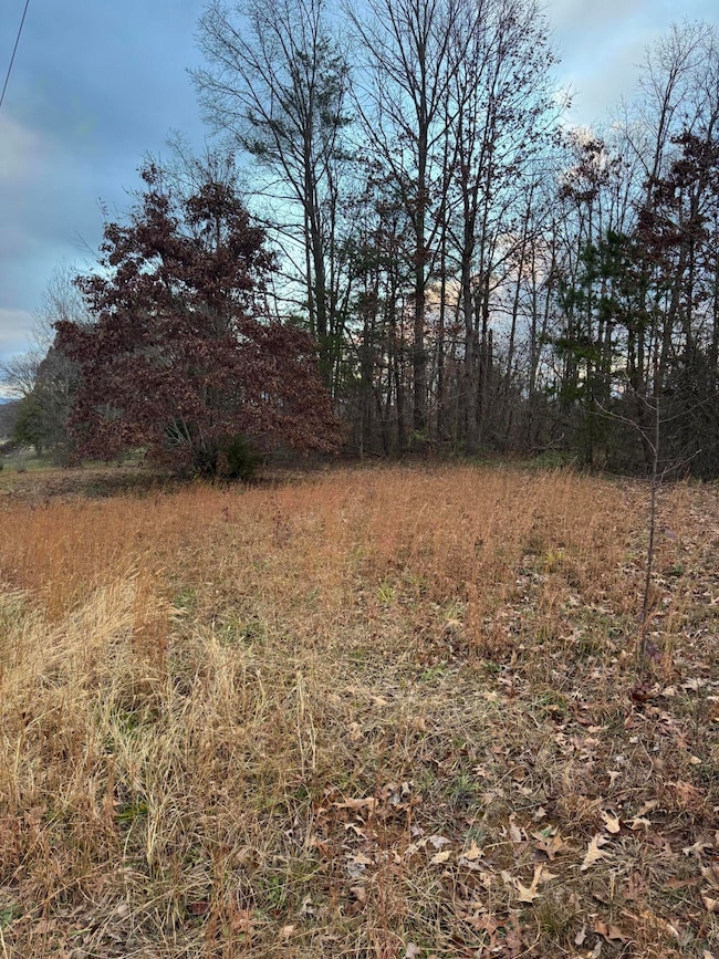 00 County Road 517, Englewood, TN 37329 - photo 3