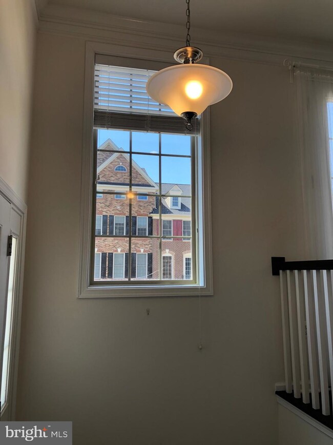 25020 Cambridge Hill Terrace, Chantilly, VA 20152 - photo 7