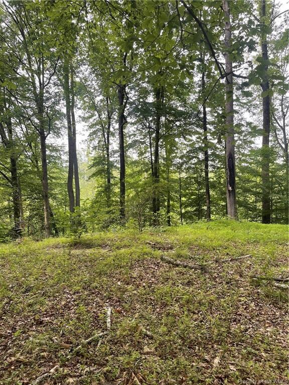 9767 Mohican Dr, Gloucester, VA 23061 - photo 2
