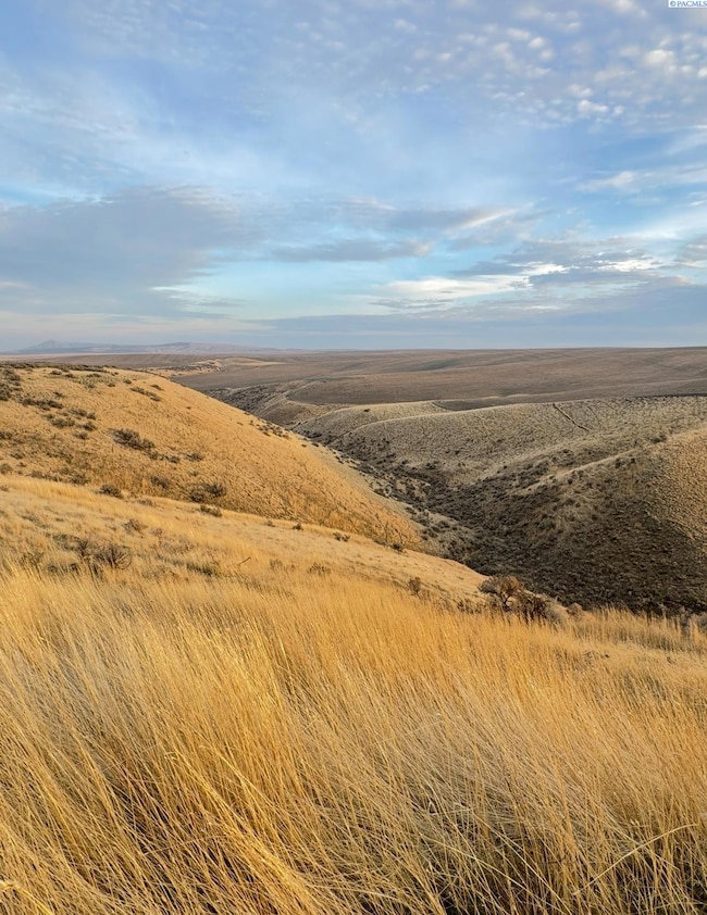 NKA E 973 Prairie SE, Kennewick, WA 99338 - photo 7