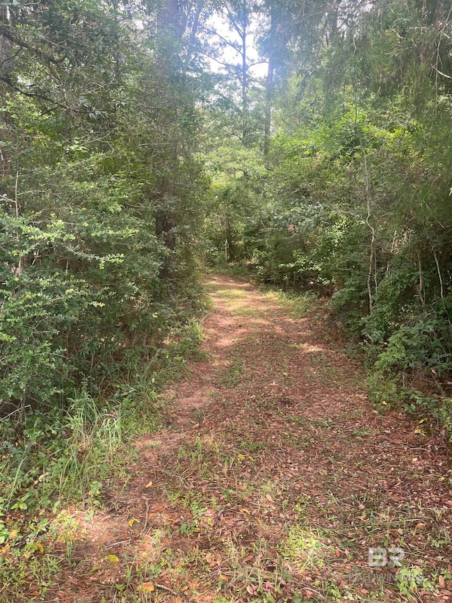 0 Mcdowell Rd, Bay Minette, AL 36507 - photo 2