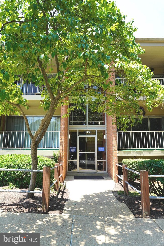 3700 N Rosser St unit 104, Alexandria, VA 22311 - photo 4