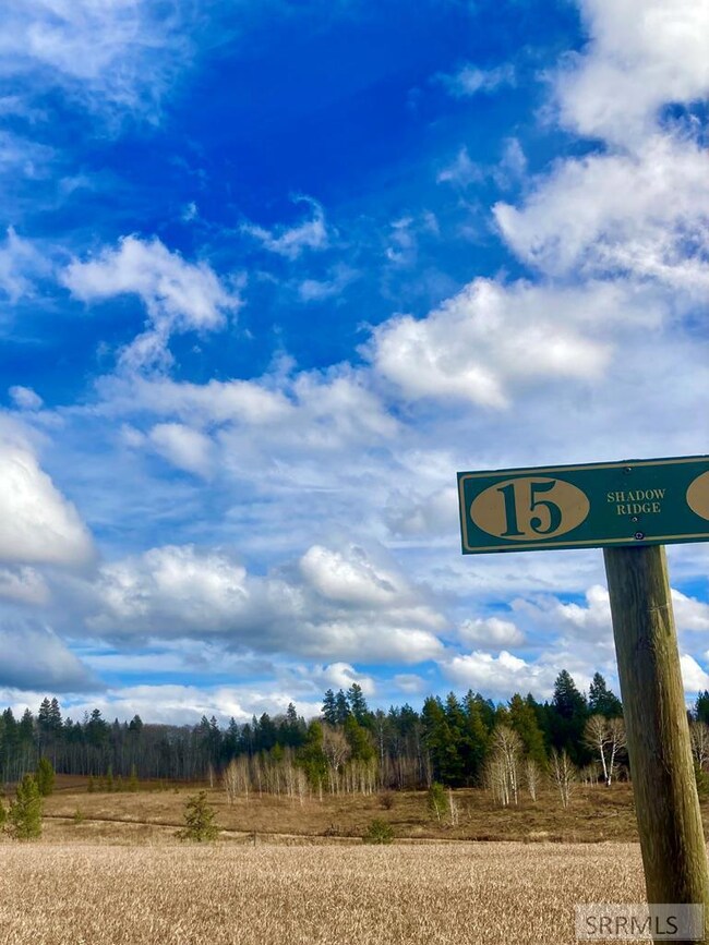 Lot 15