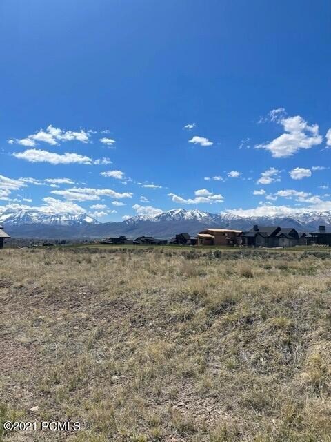 Lot 253 2