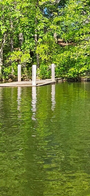 123 Dudley Rd, Wayland, MA 01778 - photo 4