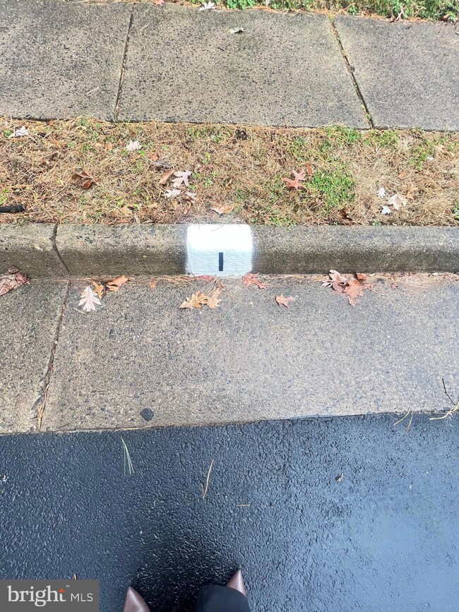 10230 Roberts Common Ln, Burke, VA 22015 - photo 5