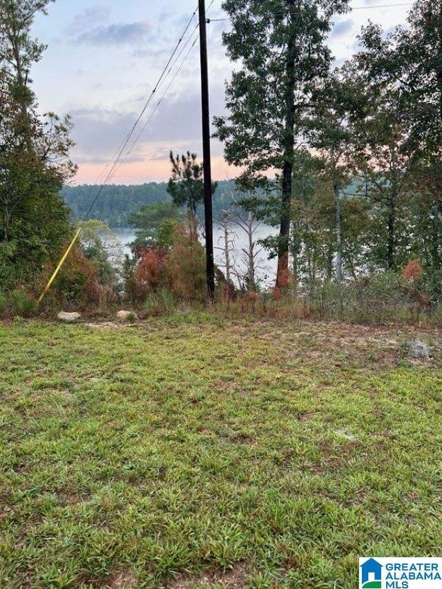 94 County Road 258, Clanton, AL 35046 - photo 5