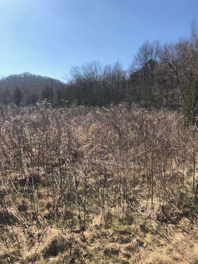 327 Field Dr, Linden, TN 37096 - photo 5