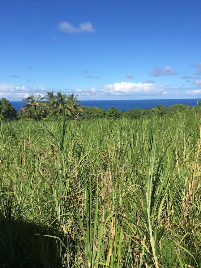 Lower Nahiku Rd, Hana, HI 96713 - photo 3