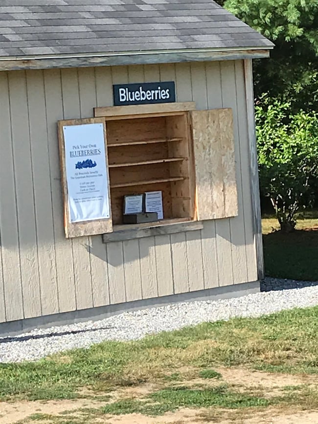 6 Brookside Dr unit 6, Grantham, NH 03753 - photo 2