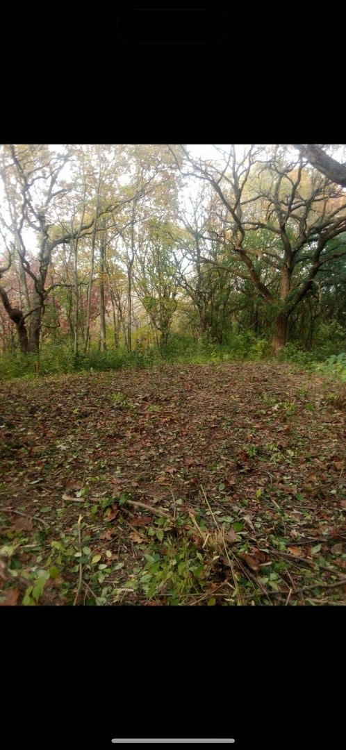 7 Autumn Trail, Barrington, IL 60010 - photo 4