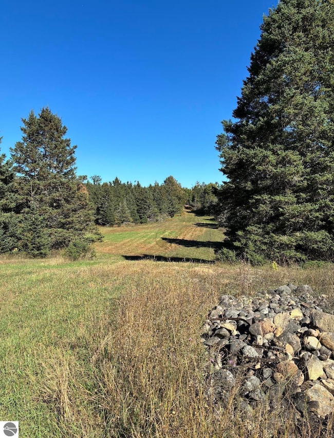 0 N Henschell Rd, Garfield Township, MI 49633 - photo 3