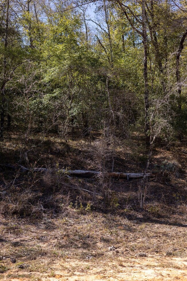 0 Holly Springs Ave unit 25490057, Alford, FL 32420 - photo 4