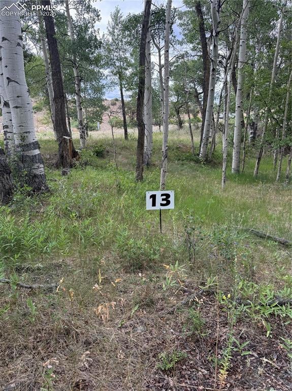 17566 Trout Cir, Buena Vista, CO 81211 - photo 2