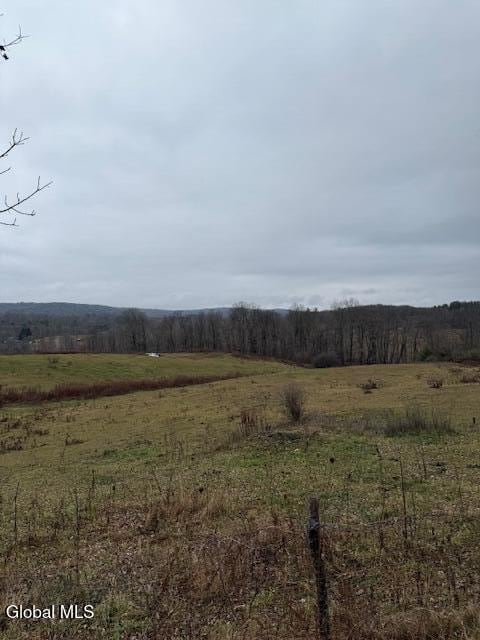 L11 Sheldon Rd, Granville, NY 12832 - photo 6