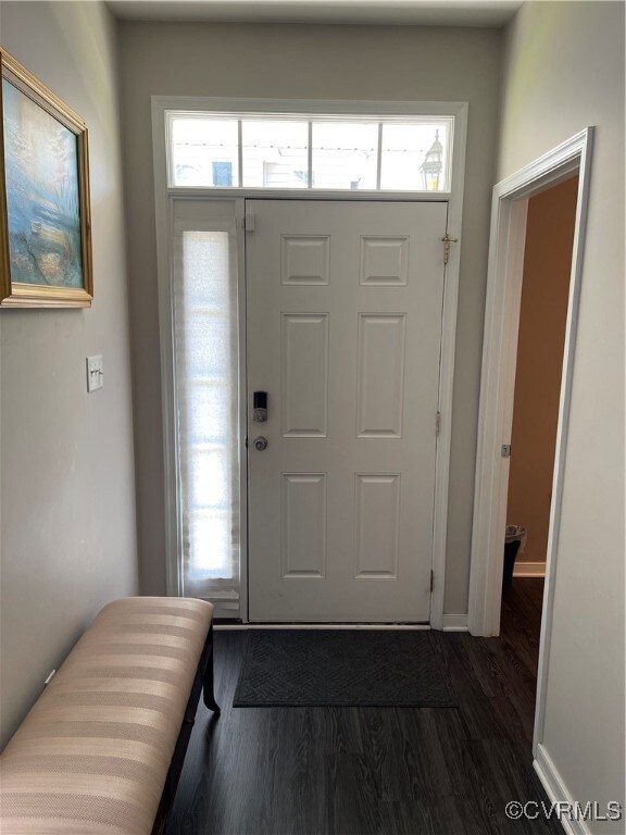 Foyer featuring a wealth of natural light and dark