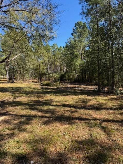 TBD FM 350 South, Lo Farm To Market 350, Livingston, TX 77351 - photo 3