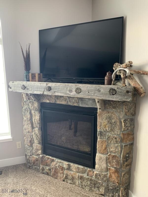 281 Pheasant Tail Ln, Dillon, MT 59725 - photo 4