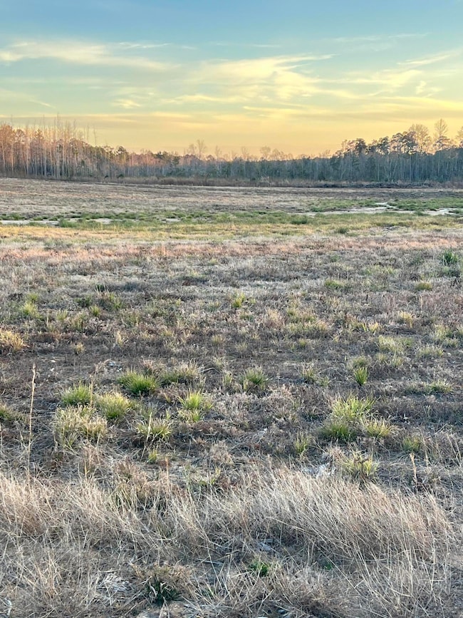 Lot 8 1 ac Patton Creek Rd, Waynesboro, MS 39367 - photo 4