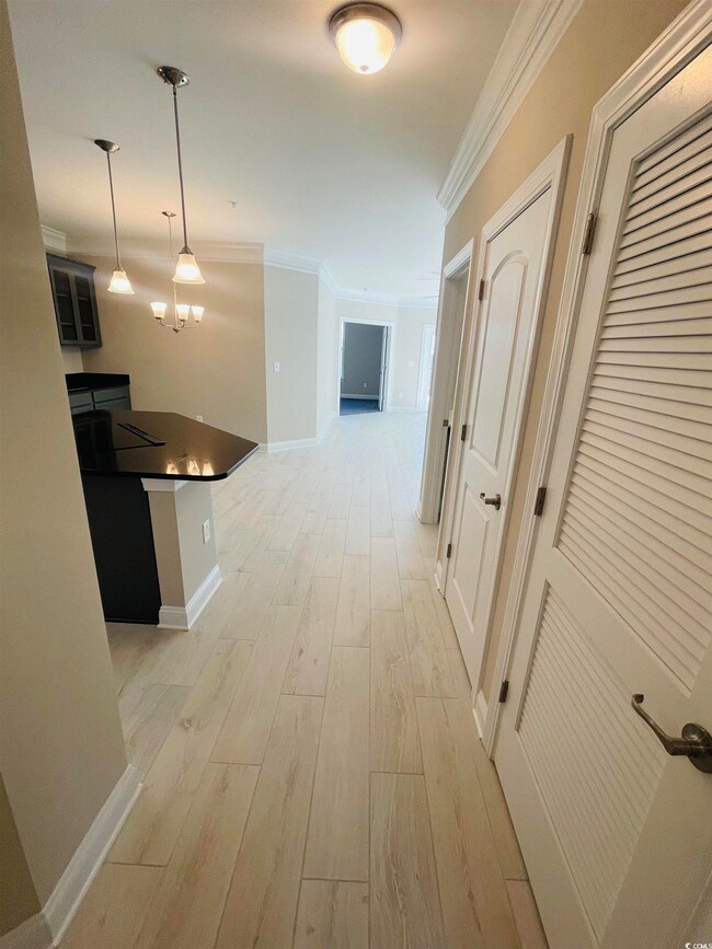 165 Ella Kinley Cir unit 305, Myrtle Beach, SC 29588 - photo 3