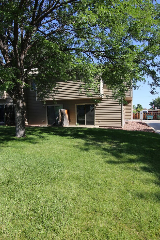 3. Back Yard