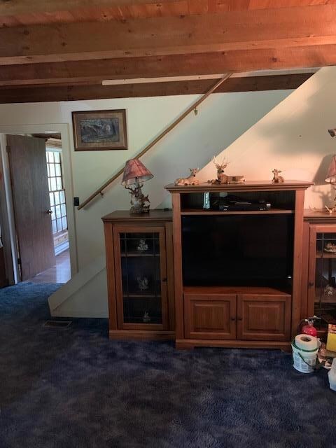 16 Fitzpatrick Ln, Dushore, PA 18614 - photo 4