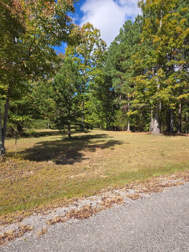 0 Two Lake Trail unit RTC3048910, Dunlap, TN 37327 - photo 3