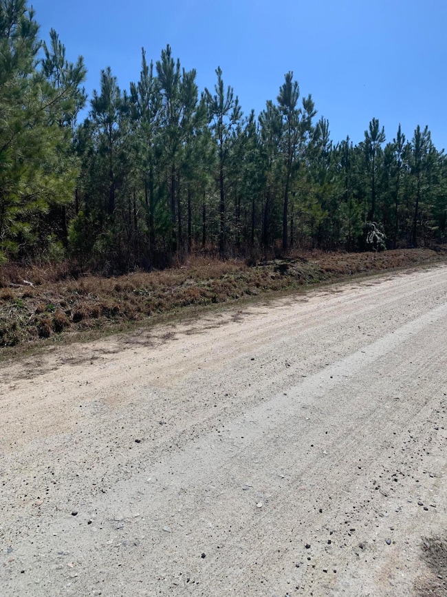 0 Moton Moore Rd unit 542113, McCormick, SC 29835 - photo 2