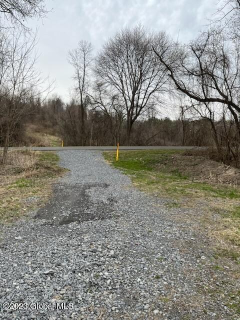 L1 Rockefeller Rd, Bethlehem, NY 12054 - photo 2