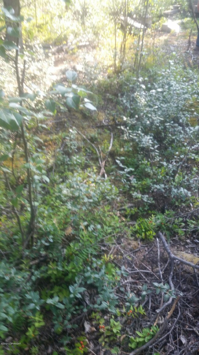 Property Lines