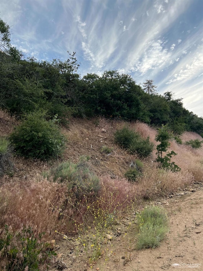 17401 St Moritz Dr, Tehachapi, CA 93561 - photo 4