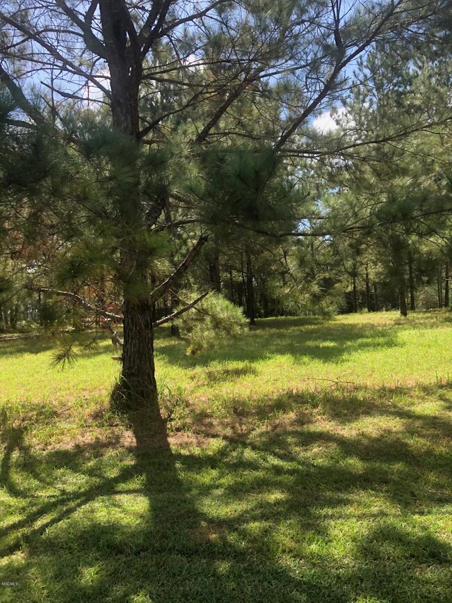 0 Burgundy Dr, Lucedale, MS 39452 - photo 4