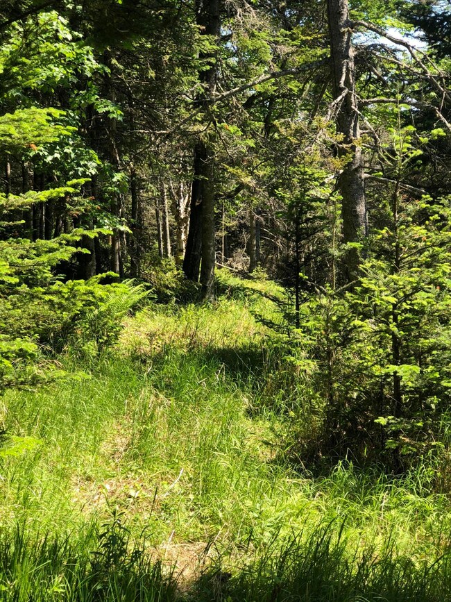 #19 Collins Cove Rd, MacHiasport, ME 04655 - photo 2