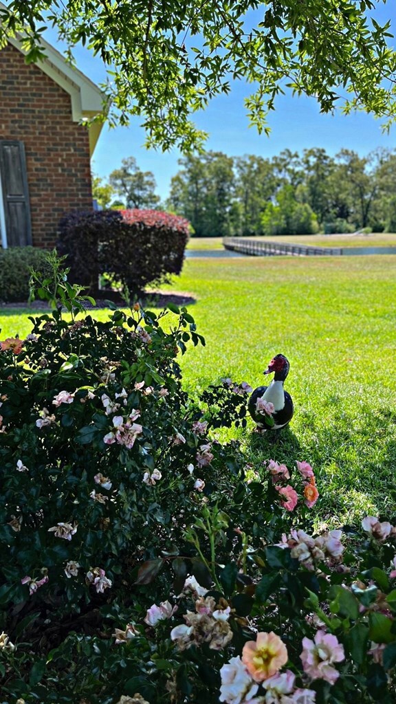 407 Pepperridge Rd, Dothan, AL 36301 - photo 5