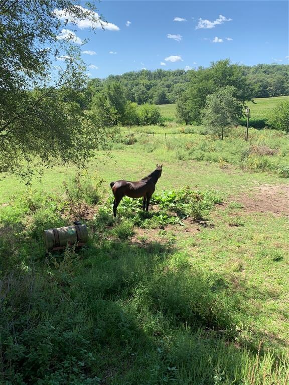 7215 Berry Rd SE, Cedar Rapids, IA 52403 - photo 4