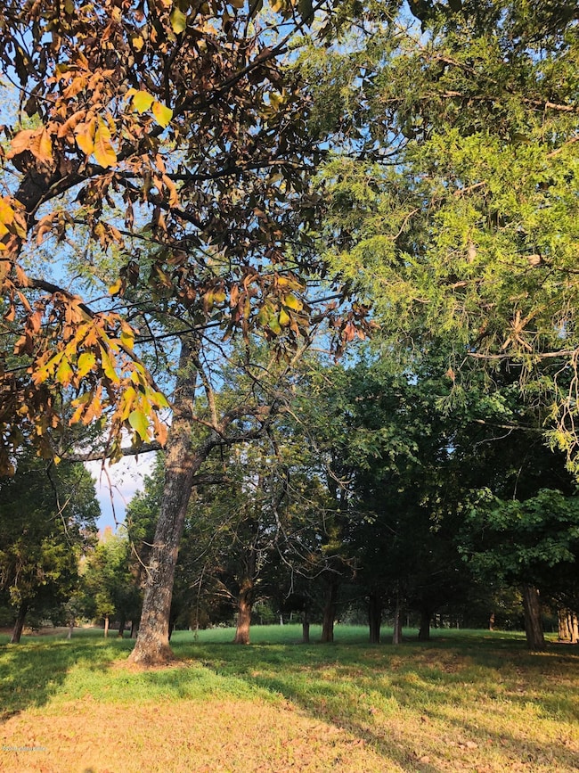 10103 Oak Grove Rd, Louisville, KY 40291 - photo 6