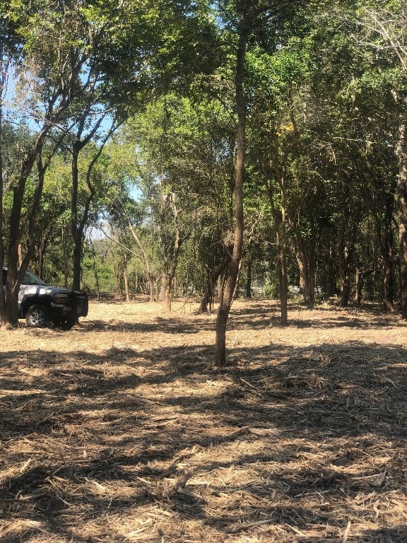 5420 County Road 166 County Road 492, Alvin, TX 77511 - photo 2