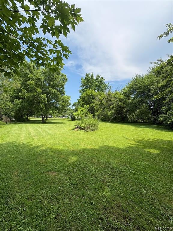 Back of the property