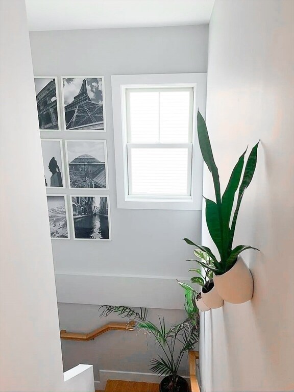 74 F St unit 2, Boston, MA 02127 - photo 7