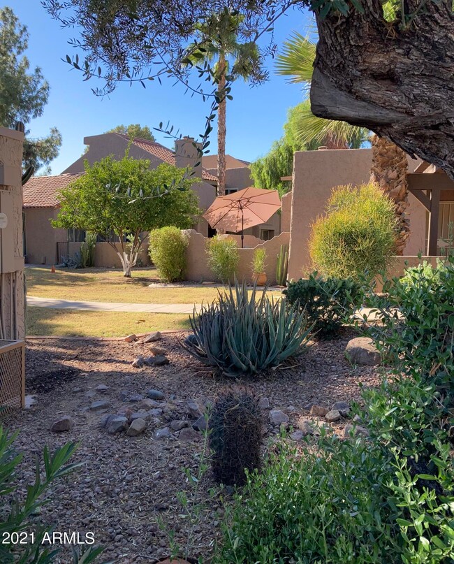 7340 N Via Camello Del Norte unit 241, Scottsdale, AZ 85258 - photo 4