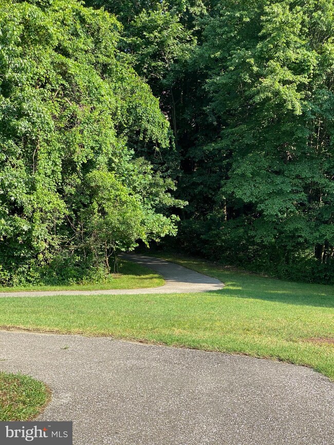 16121 Edenwood Dr, Bowie, MD 20716 - photo 6