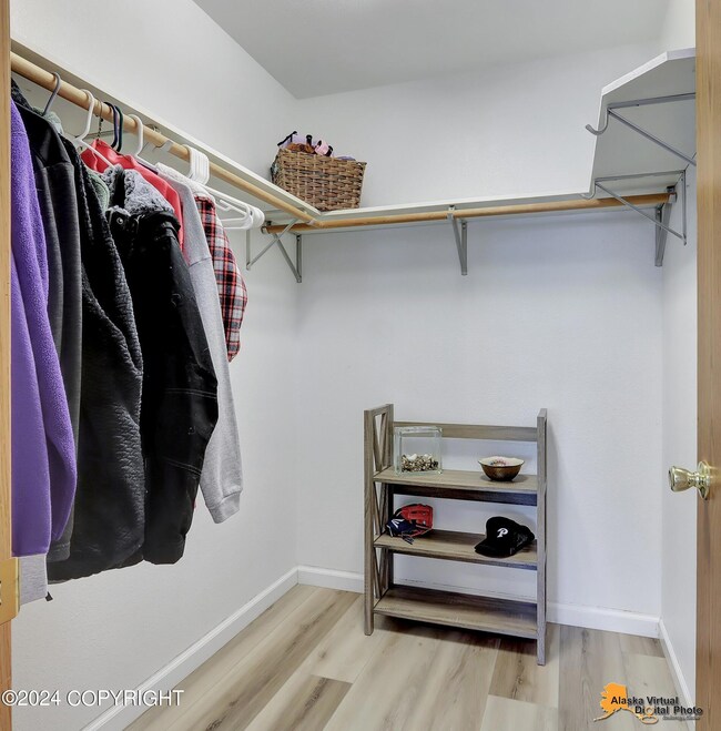 Huge Entry closet