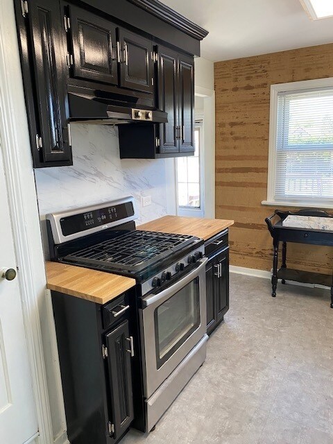 309 S Martin Ave, Waukegan, IL 60085 - photo 3