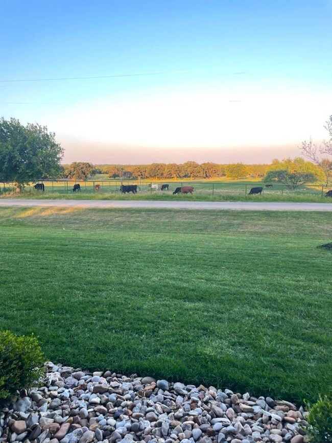 1268 County Road 4797, Springtown, TX 76082 - photo 4