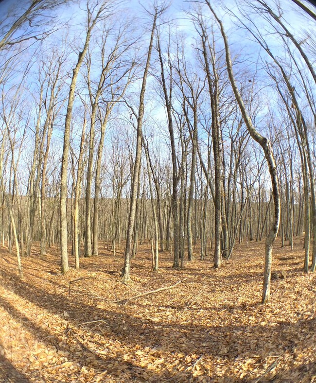 Lot 12 Briarcrest Dr, Lackawaxen Township, PA 18428 - photo 5