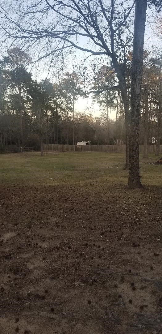 253 Ridgewood Dr, Magnolia, TX 77355 - photo 3