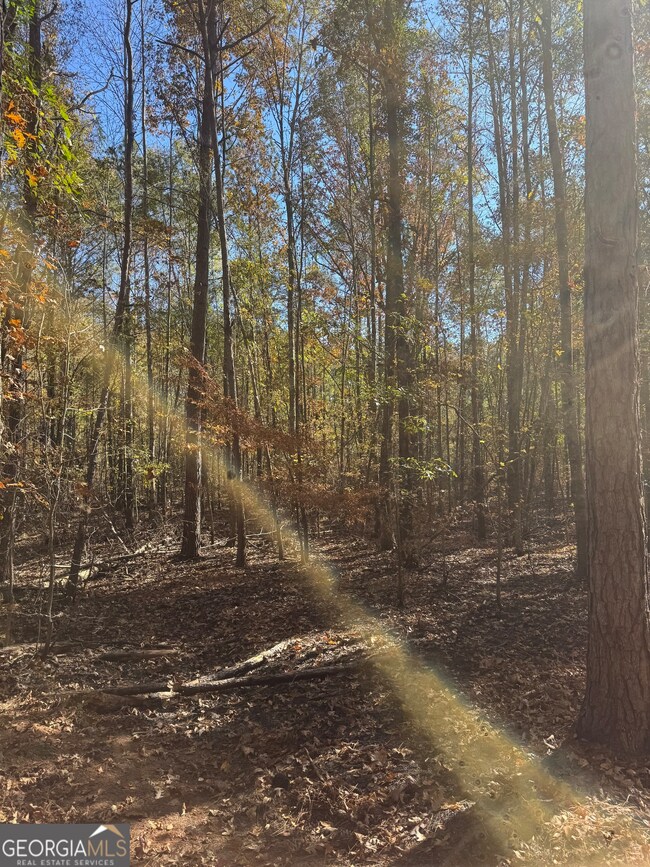 157 W Drummond Rd, West Point, GA 31833 - photo 6